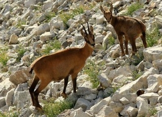  Encuentro duranle la caminata